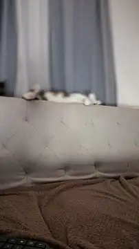 Živý XXX chat Holli_woul