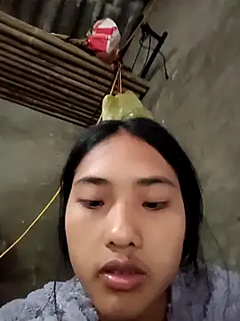 Hoa-tuylip – webcam-show