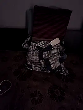 Pertunjukan Kamera Web DeLhiBoy_143