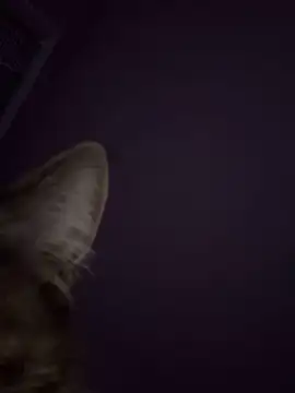 curis4270panda's Live XXX Chat