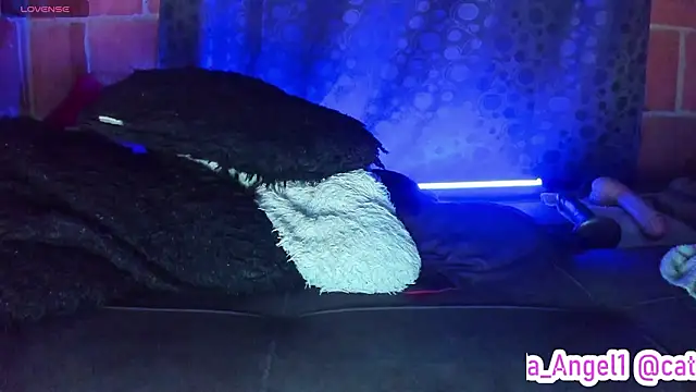 Chat +18 de Cata-angel ao vivo