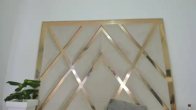 Selenaasm 现场XXX聊天