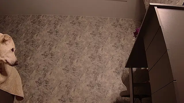 XXX chat uživo modela eelizabeth