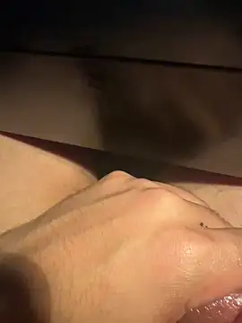 Bisexuall1: διαδικτυακό σόου στην κάμερα