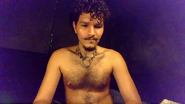 die_mond: διαδικτυακό σόου στην κάμερα