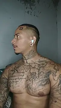 David_tatto1 – Live XXX-chat