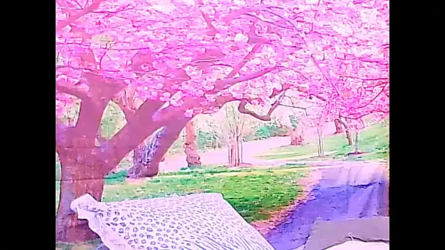 Indianfairy99 Live XXX-chat