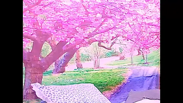 Онлайн чат XXX Indianfairy99