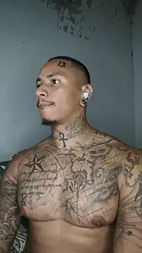 แชท XXX สดของ David_tatto1