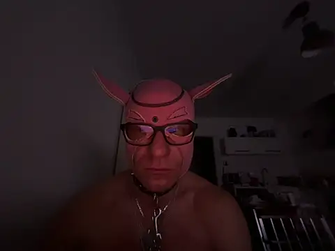 Pokazy przed kamerką – AlphaszmaciBetaplaci