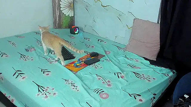 Show modela BabyCam23 na web-kameri