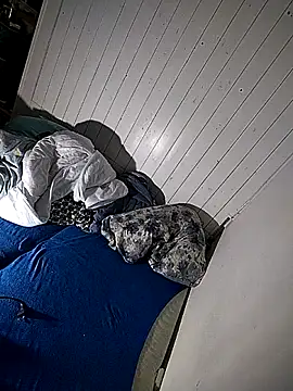 Luk4uBB: онлайн-секс-чат