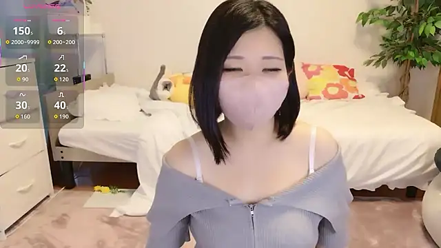 HIMAWARI_88chのウェブカメラショー