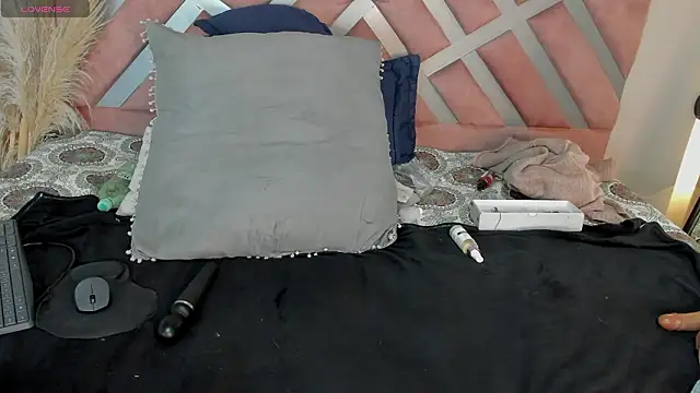 electrabig_6 Webcam-Show