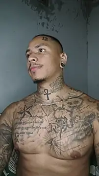 แชท XXX สดของ David_tatto1