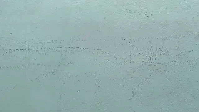 Show Webcam de Erick_Zhimerman