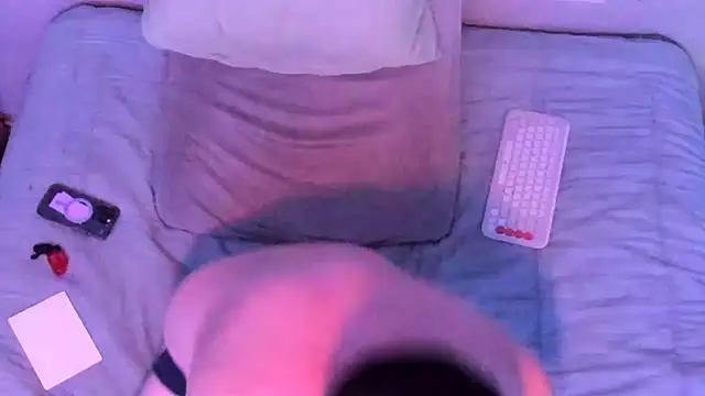 tomforkのウェブカメラショー