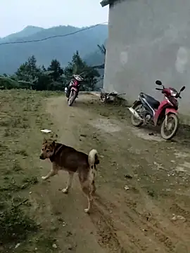 Wella-baeのライブXXXチャット