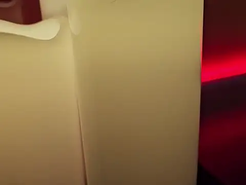 _MissJaneWarren_n Webbikameraesitys