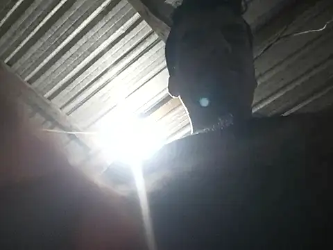 axel69consentido – Naživo XXX chat