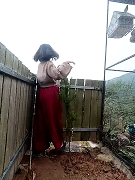 Chat XXX Live linda_bae00