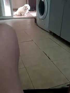 mirce78's Live XXX Chat