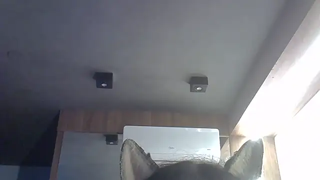 SkinnyKitten Show Webcam