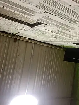 Chat XXX Live Brenda__222