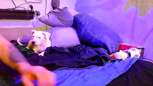 PornStro921 webkamerás műsora