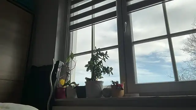 s-te-fan-i Webcam-Show