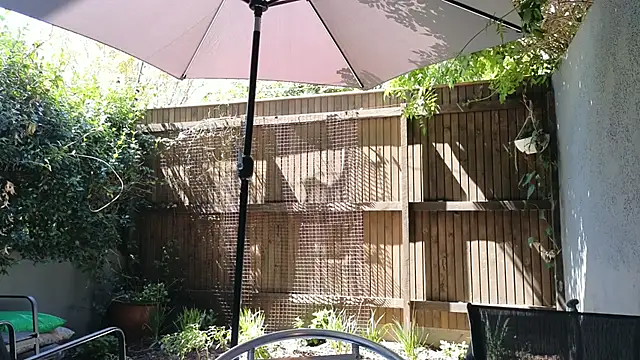 TopsyWilde – Live XXX-chat