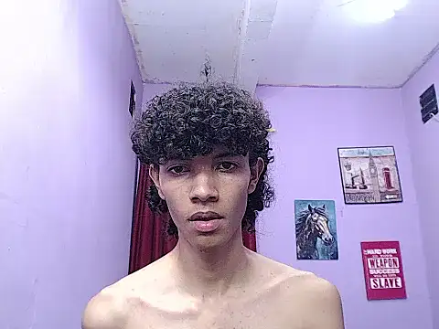 Webkamerová show bigcock_twinks