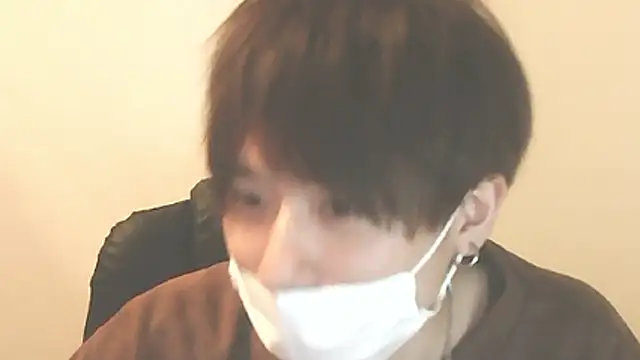 Show Webcam de JPTopModel