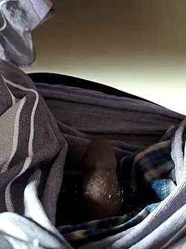 Chat XXX ao vivo de malluflash