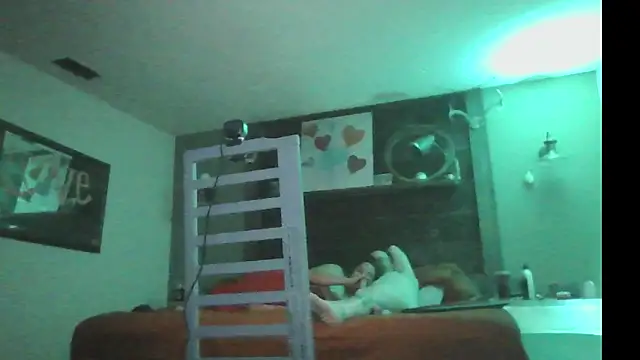 AmeliaAnale8 Live XXX Chat