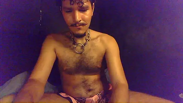 die_mond – Kamerová šou