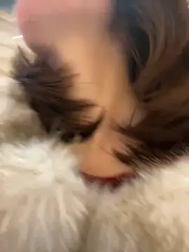 Онлайн чат XXX littleqiu