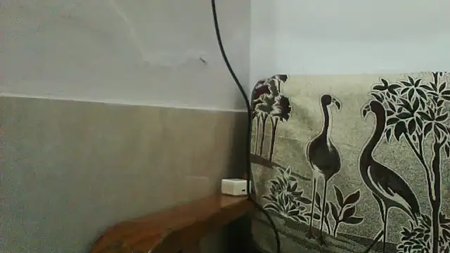 shalini_fire Adlı Modelin Canlı XXX Sohbeti