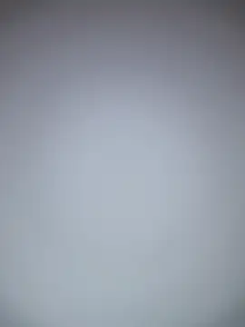 Pertunjukan Kamera Web TheDime