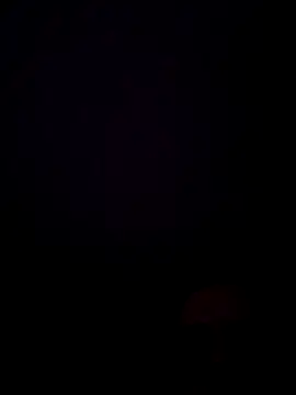 JJLILYOFFICIAL Live XXX-chat