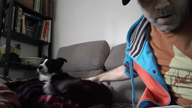 arka6 – webcam-show