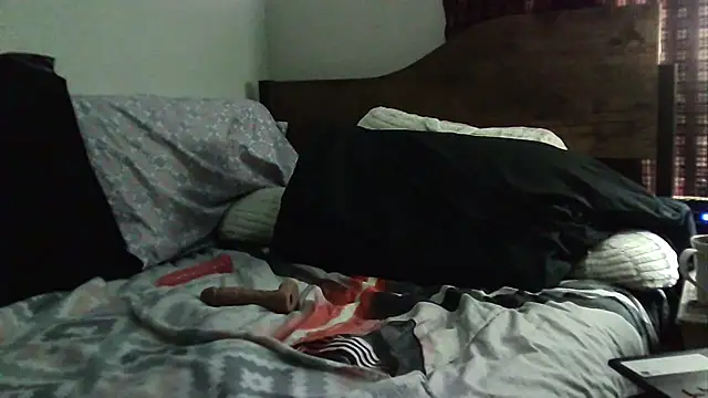 Show Webcam de Prince13144