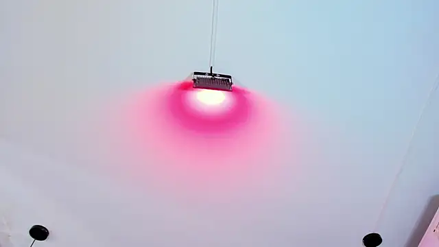 Yalezka_ Adlı Modelin Canlı XXX Sohbeti