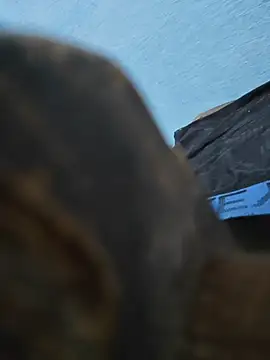 Онлайн чат XXX Lovingsol