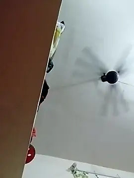 annaya_sweet – Live XXX-chat