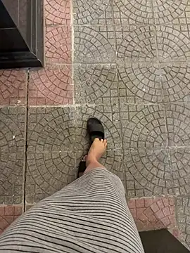 Meii-meyyn Webbikameraesitys