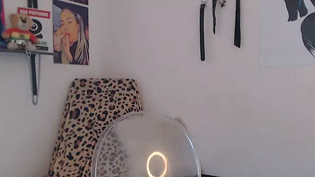 Chat +18 de Perola__May ao vivo