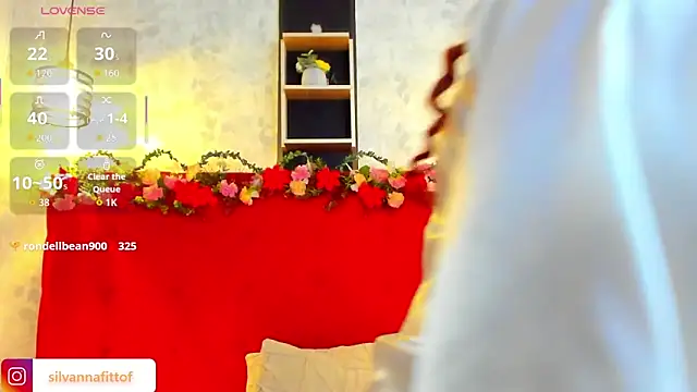 Show Webcam de SilvannaFit