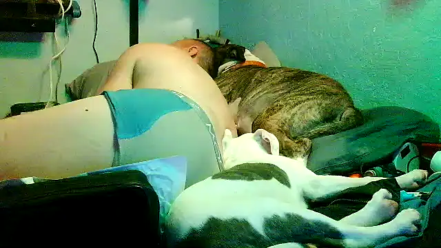 Pokazy przed kamerką – PornStro921