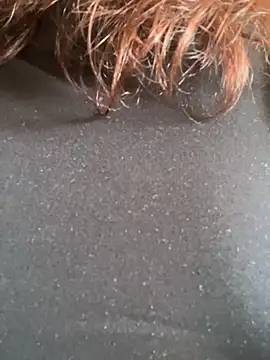 talisma 现场XXX聊天